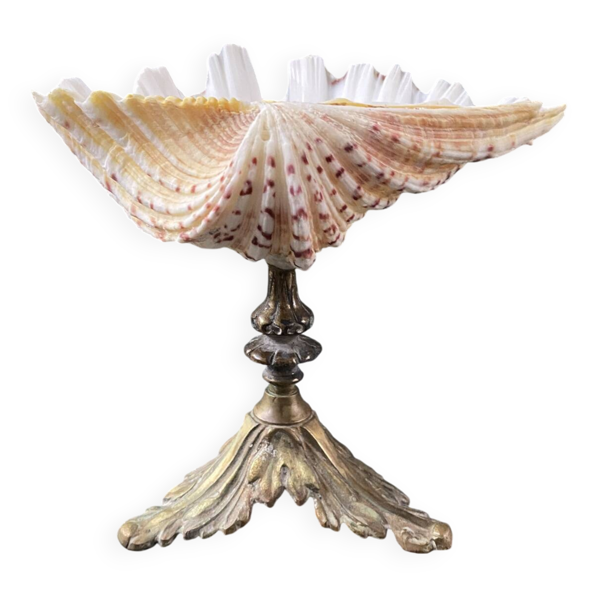 Holy water stoup shell on base