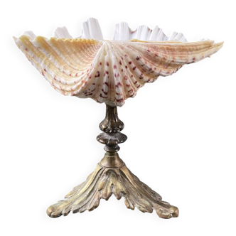 Holy water stoup shell on base
