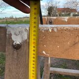 Farm table guinguette and wooden trestles