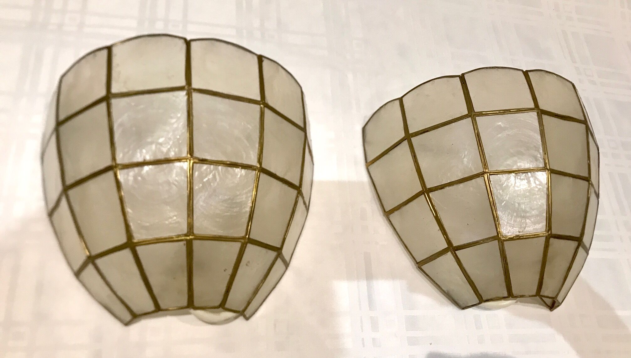 Pair of mother-of-pearl shell sconces