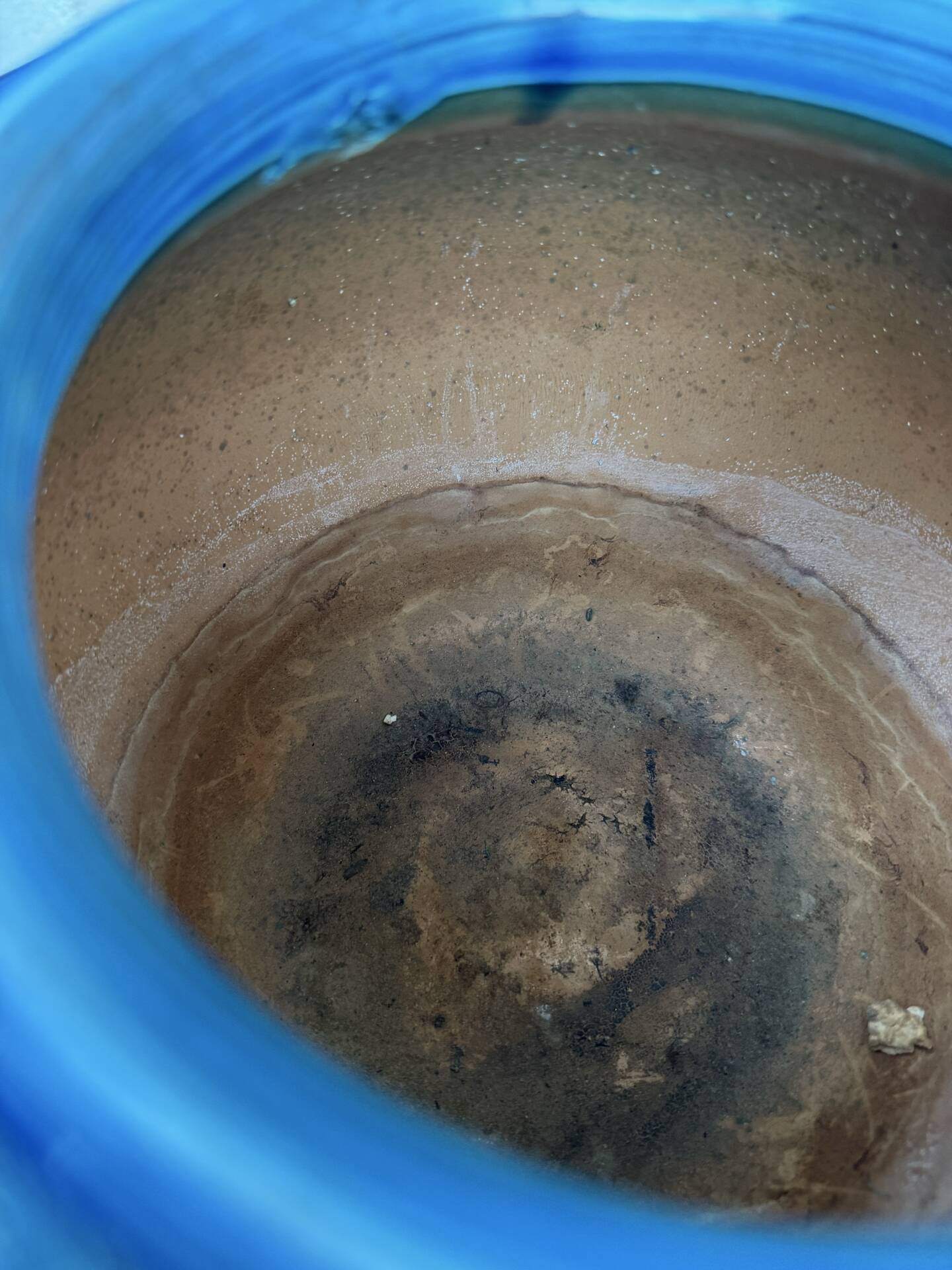 Ceramic cache pot Bitossi Aldo Londi 1960s