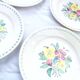 6 old flat plates