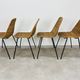 4 chairs Gianfranco Legler model Rattan basketball and metal 50s