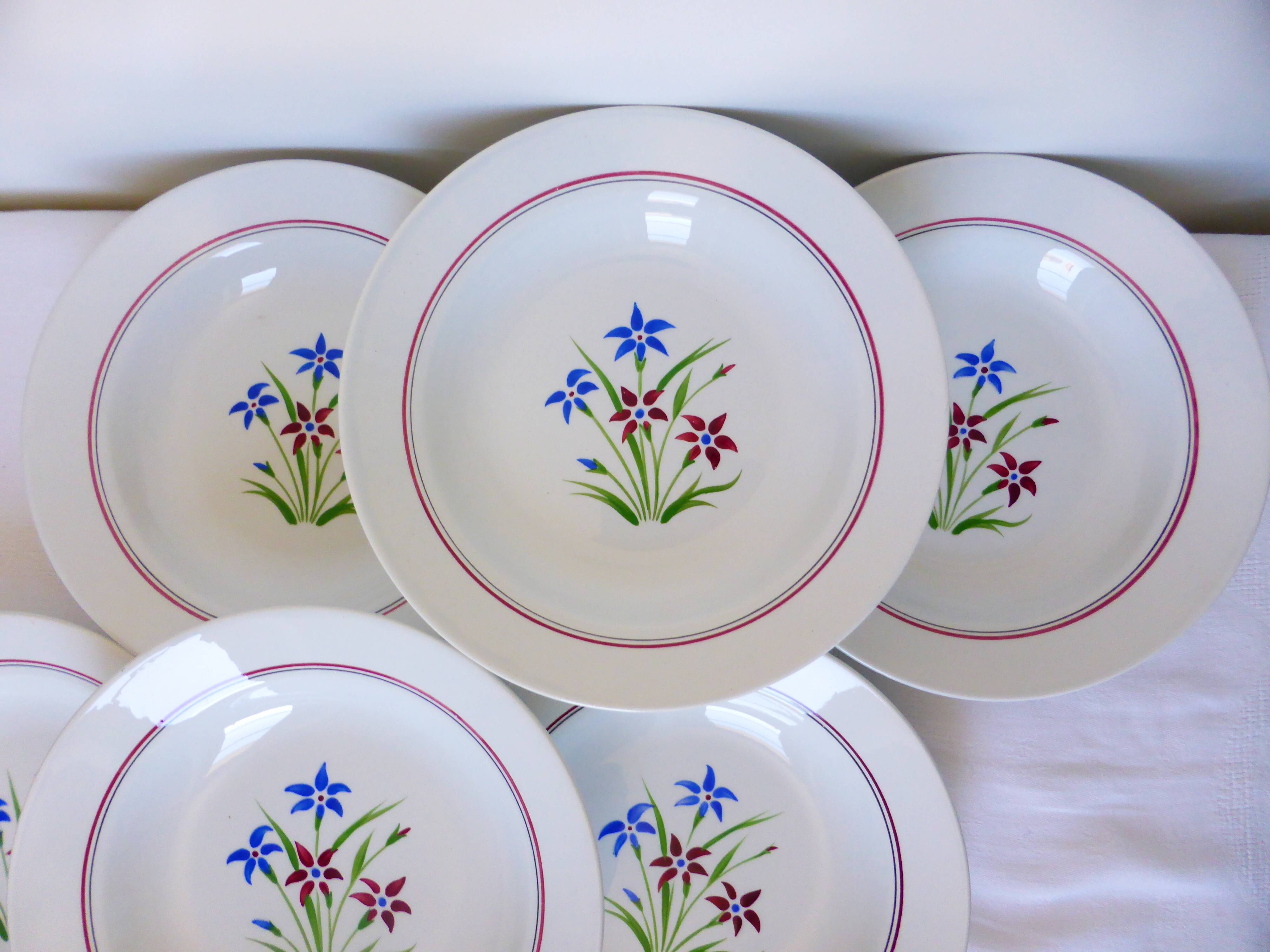 6 deep plates from Salins model Lily 2106202