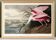Poster about the Pink Spatula, based on an old engraving from 1827.