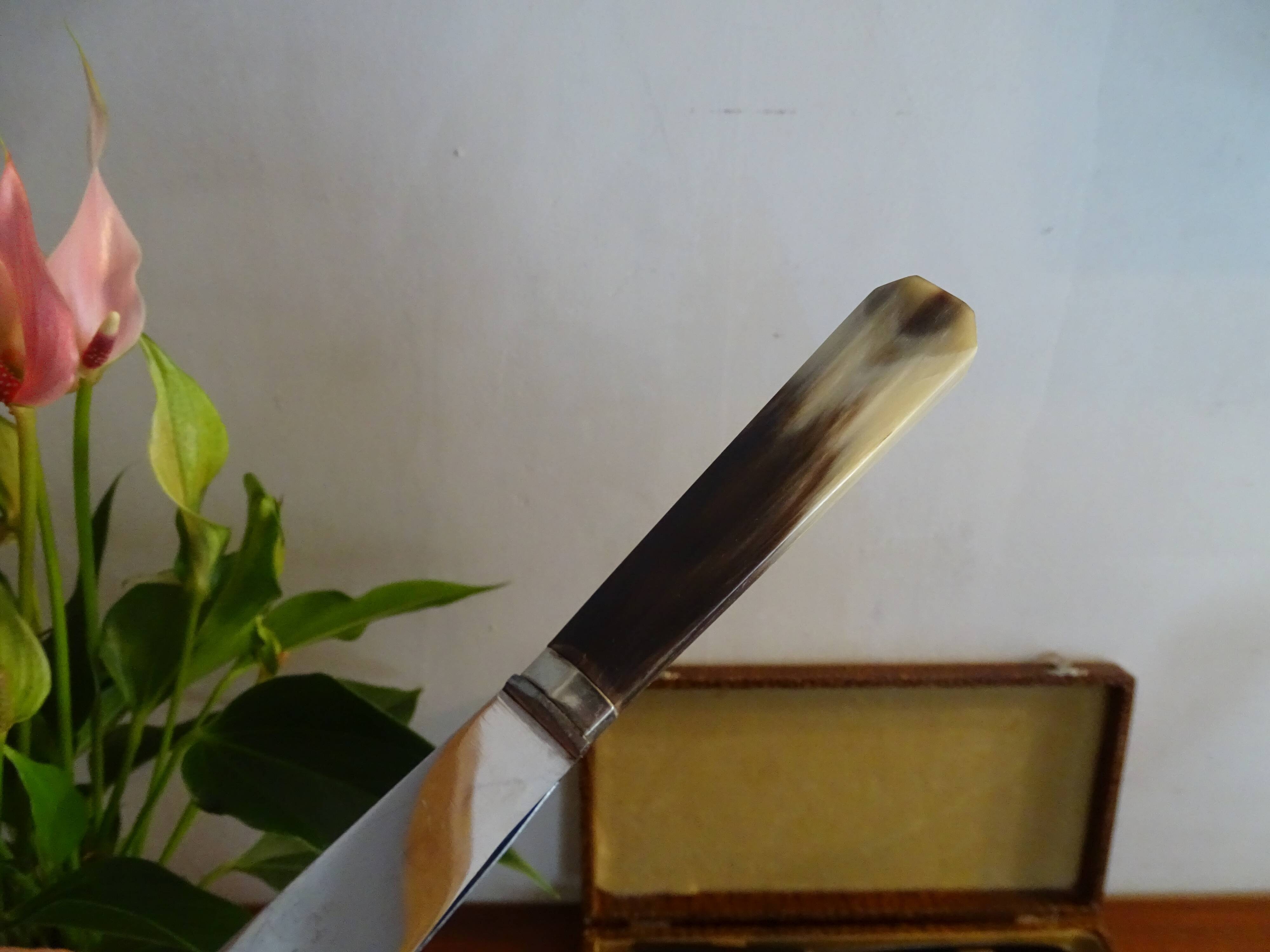 12 vintage dessert knives Pradel horn sleeves in case