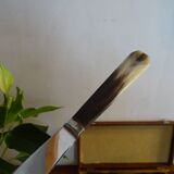 12 vintage dessert knives Pradel horn sleeves in case