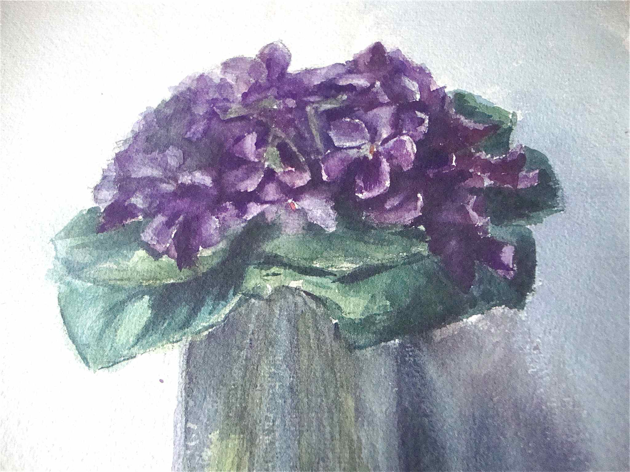 Bouquet de violettes anciennes