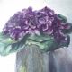 Bouquet de violettes anciennes