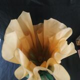 Jannalights table lamp