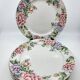 Rose Garden Plates Set by Showa Art Workshop Japan (Set of 6)