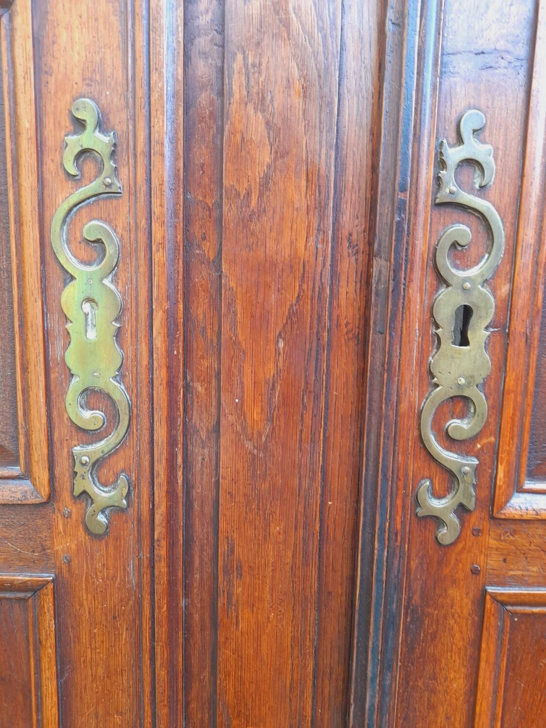 Pair of carved oak cabinet doors