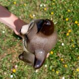 Ceramic Cat