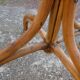 Parrot coat rack in curved wood - Art Nouveau