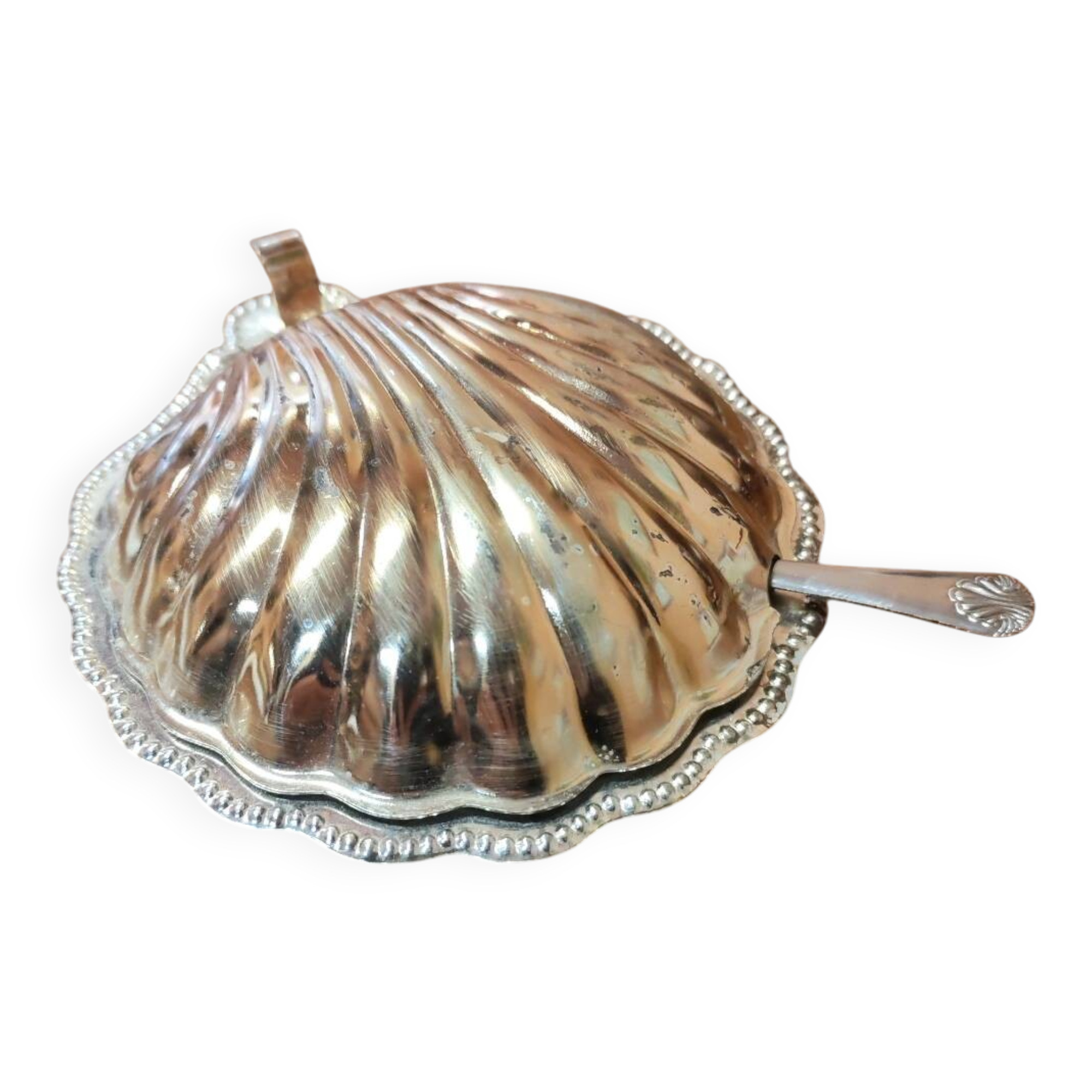 Vintage shell butter dish