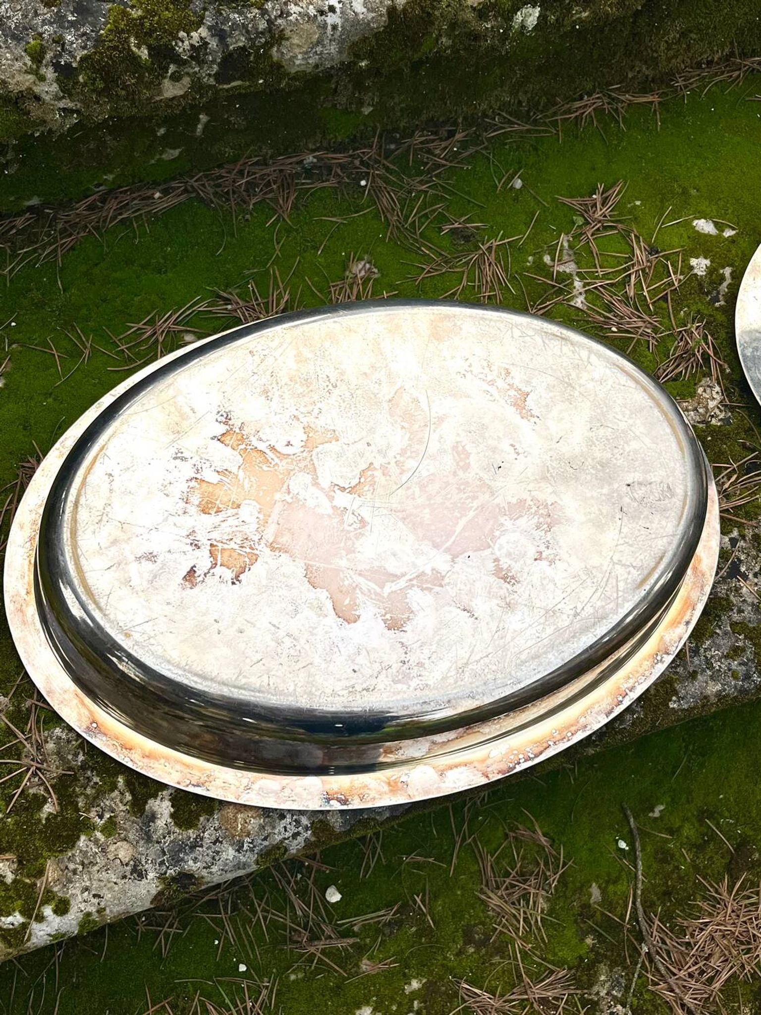 Duck Serving Platter – Vintage French EPNS Silver Plated Game Dish