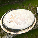 Duck Serving Platter – Vintage French EPNS Silver Plated Game Dish