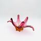 Coupe Murano - Sommerso - Orange & Rose