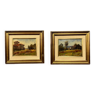 Piedmontese School XXth: oils on panel depicting two natural landscapes with buildings