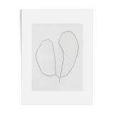 "Two Leaves" illustration