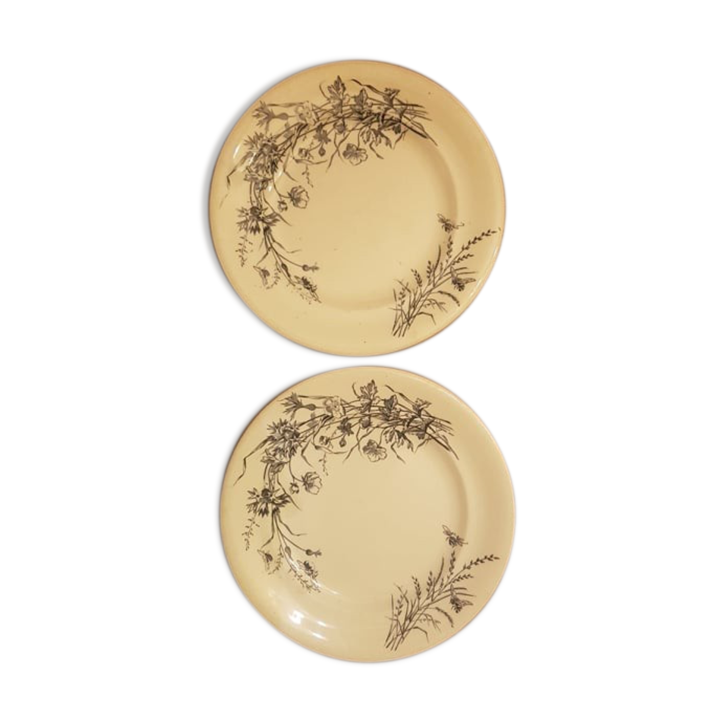 Set of 2 plates in Iron Earth SG model Fleurs des Champs
