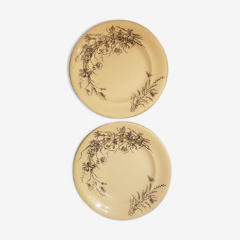 Lot de 2 assiettes en Terre de Fer SG modèle Fleurs des Champs