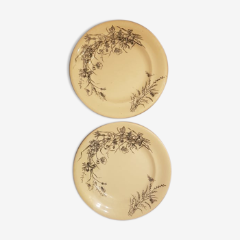 Set of 2 plates in Iron Earth SG model Fleurs des Champs