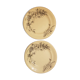 Set of 2 plates in Iron Earth SG model Fleurs des Champs