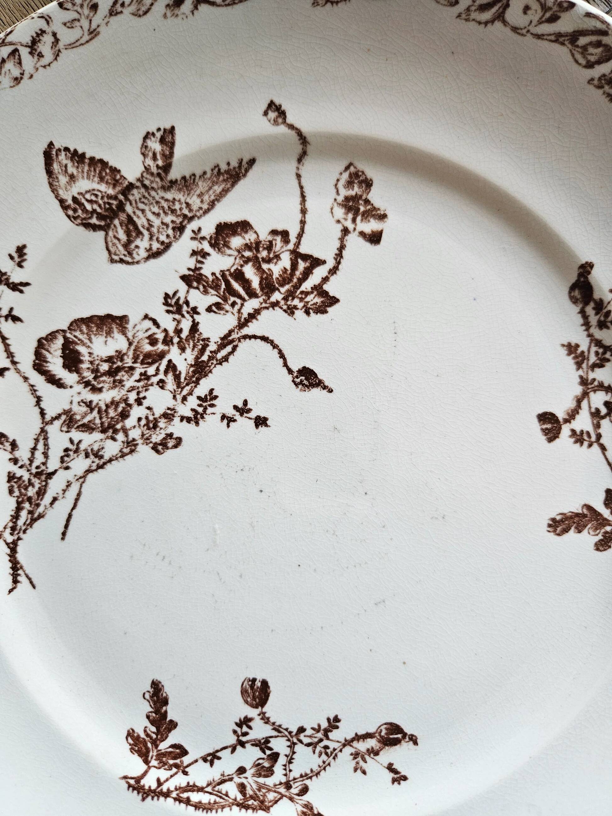 Ironstone dessert plates, poppies