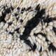 Moroccan berber carpet Beni Ouarain 100x225 cm