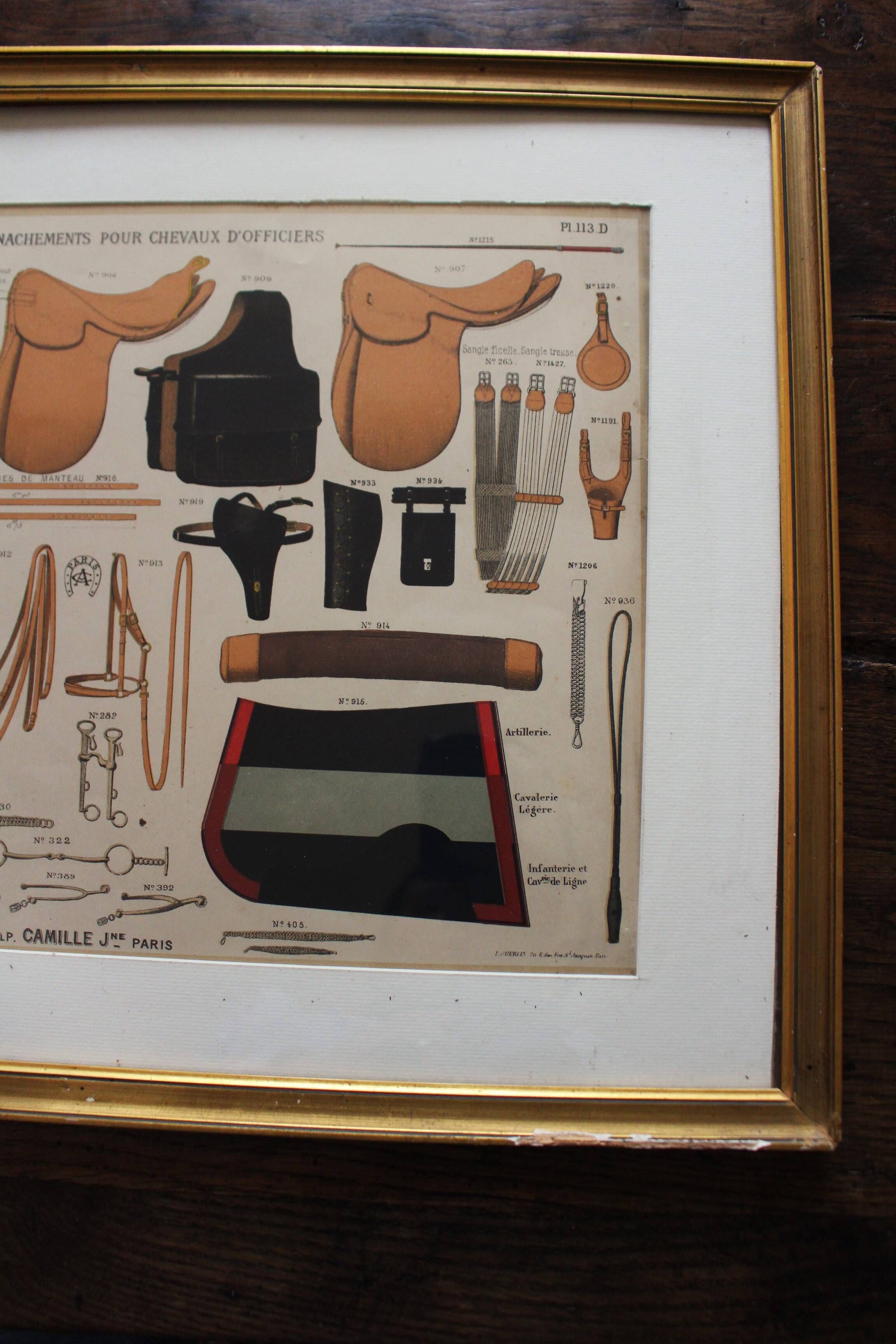 Framed lithograph "horse riding saddlery Alp Camille", late 20th century
