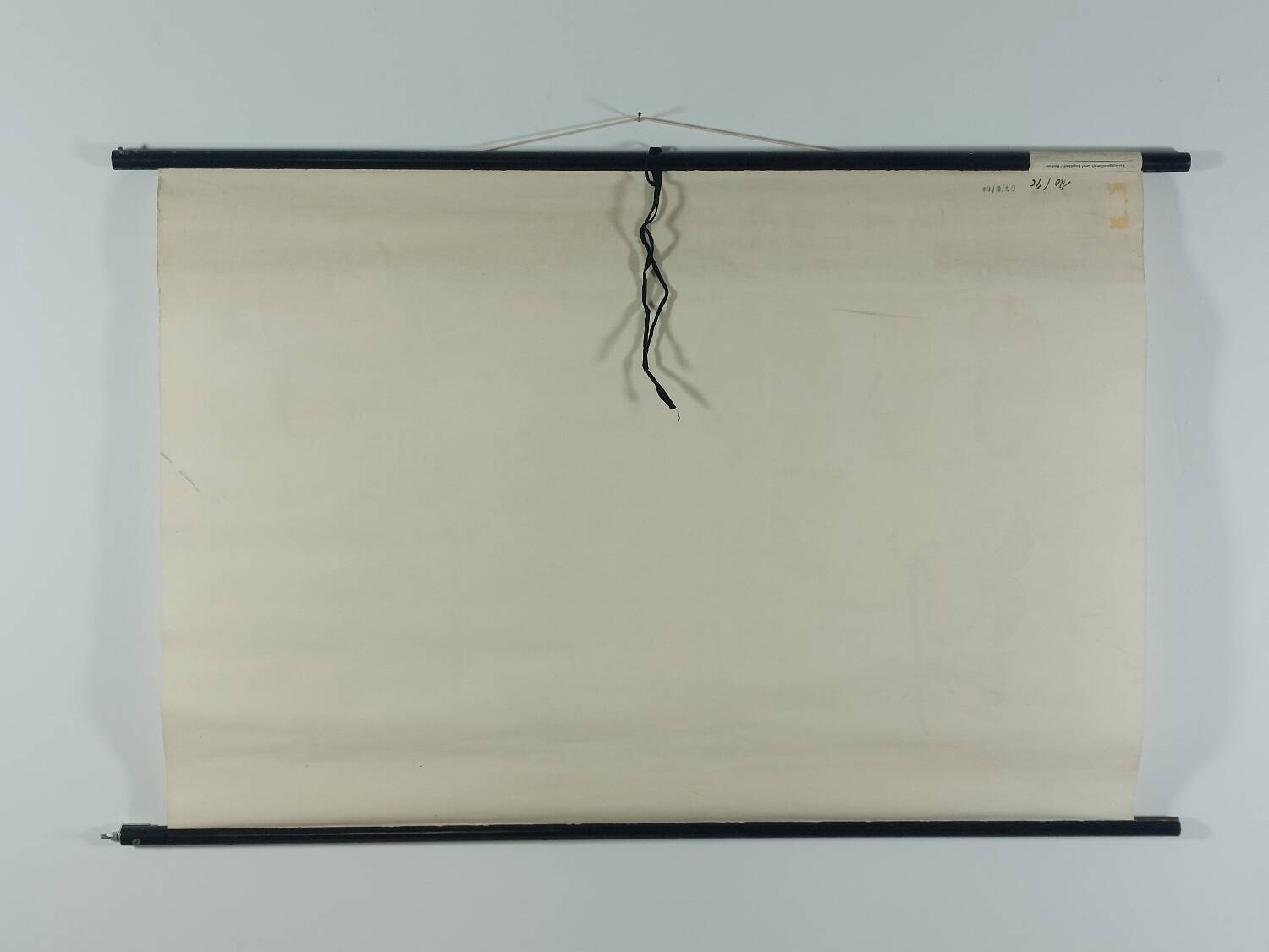Vintage educational wall hanging roll chart biology bean plant