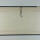 Vintage educational wall hanging roll chart biology bean plant