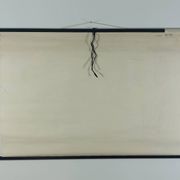 Vintage educational wall hanging roll chart biology bean plant