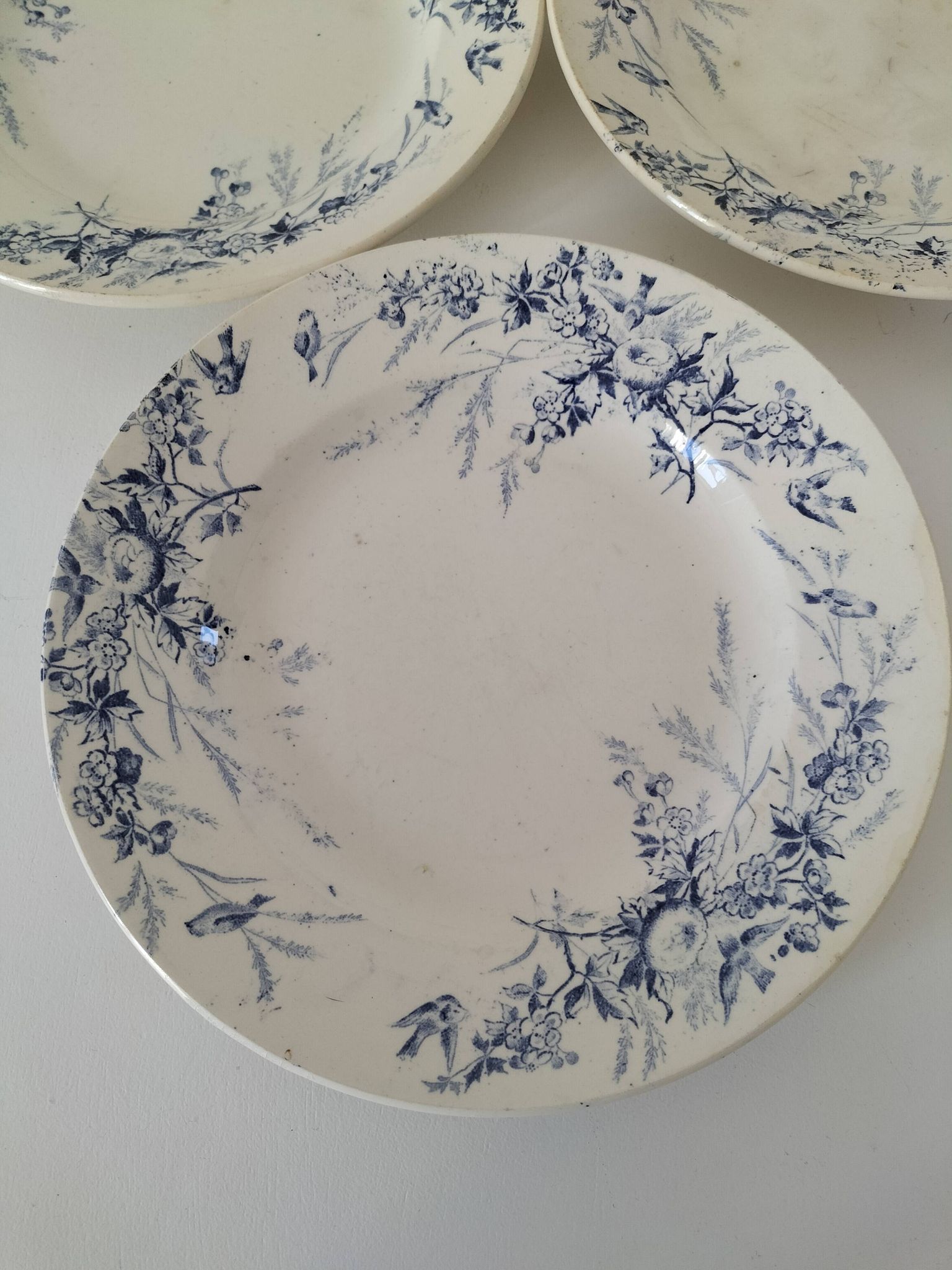 Assiettes Creil Montereau Modèle Linotte