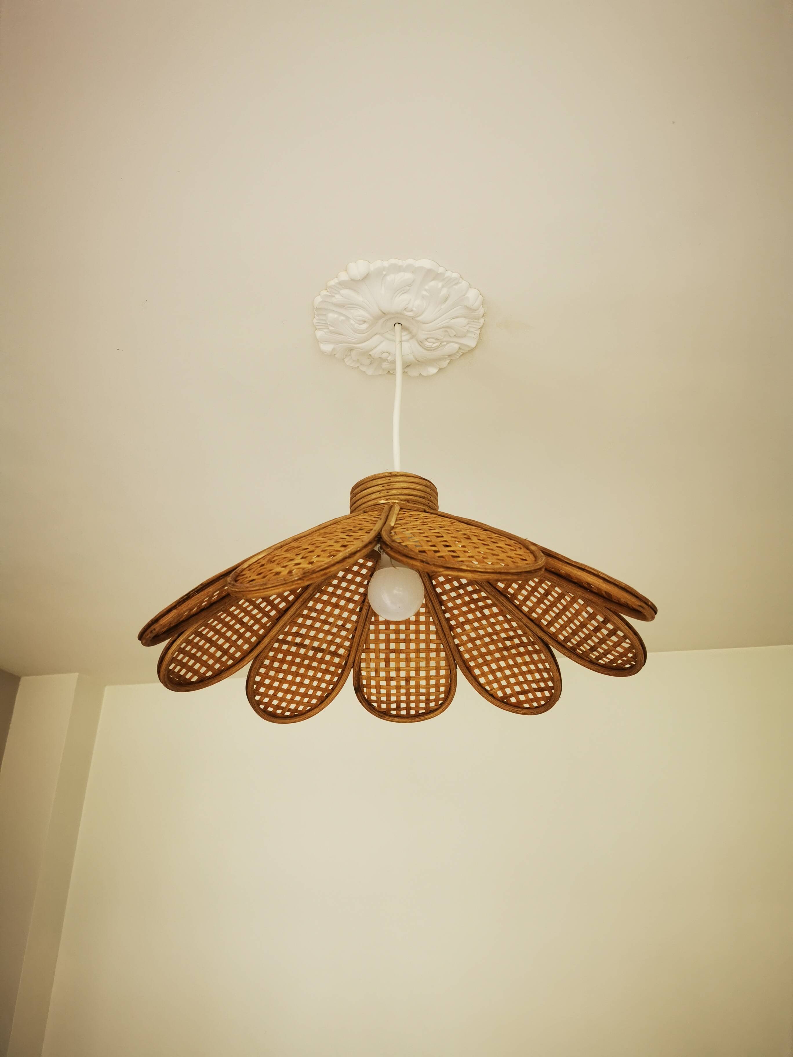 Bamboo rattan suspension and canning