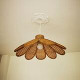 Bamboo rattan suspension and canning