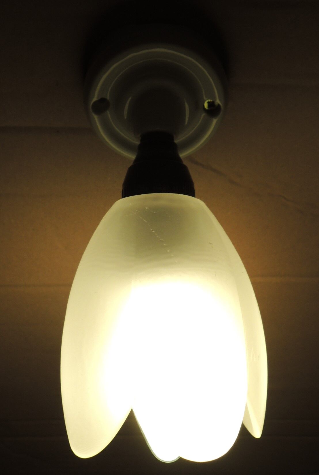 Wall light tulip