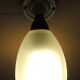Wall light tulip