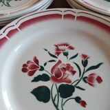 Set 12 vintage plates