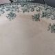 7 Jane model flat plates with dark green floral decoration Saint-Amand