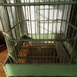 Birdcage