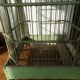 Cage à oiseaux