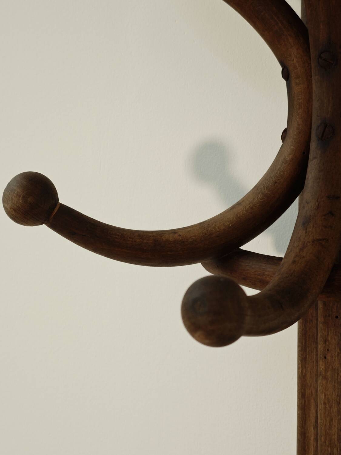 Thonet No. 1 Parrot Coat Rack on Wall, 1900s