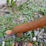 Antique parrot coat rack