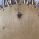 Vintage mirror 1960 rattan flower sun mirror - 50 cm
