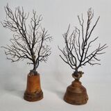 Pair of black fan corals on turned wooden base, Height 25 cm