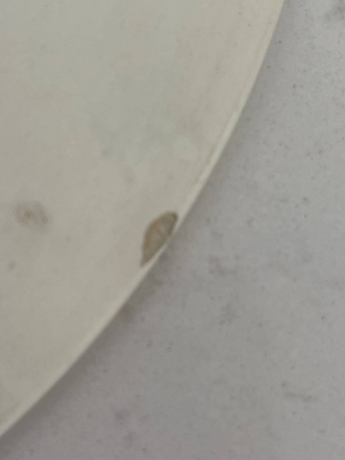 Charbonnier-Salins plates