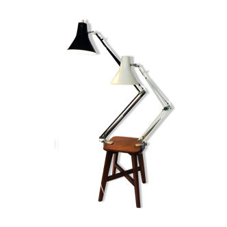 Architect's lamp duo