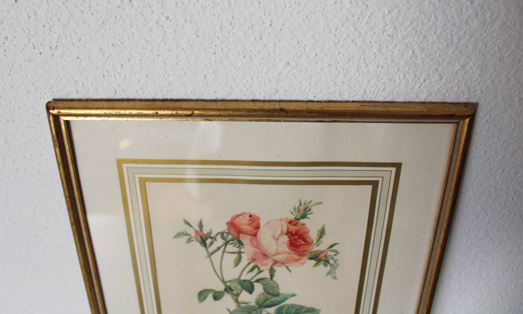 Golden frame botanical illustration